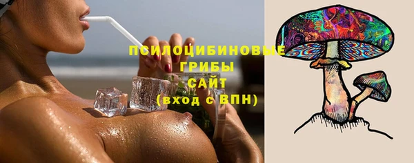 прущий лед Абаза