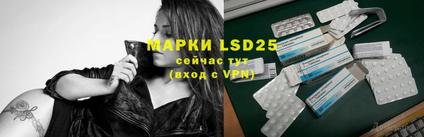 прущий лед Абаза