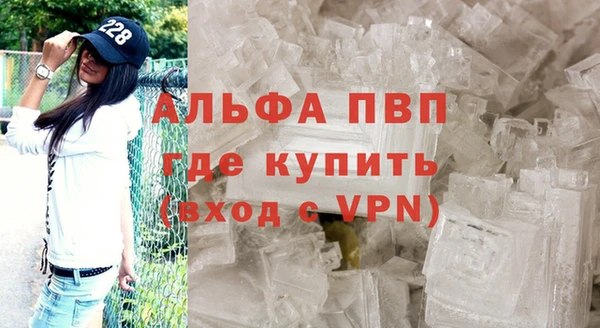 гашик Нефтекумск