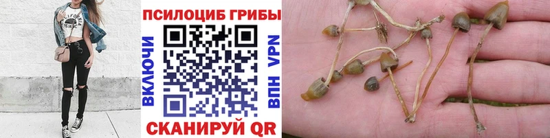 Псилоцибиновые грибы ЛСД  Иноземцево 